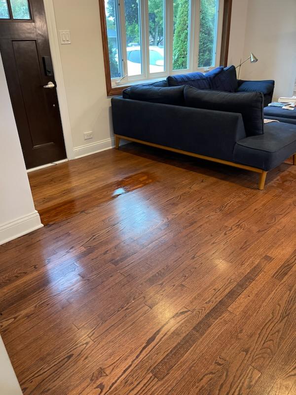 Refinished hardwood flooring, large-scale remodel