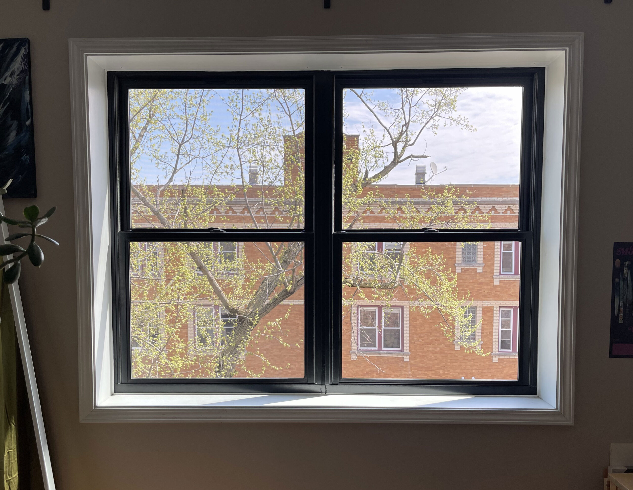 Pella Impervia fiberglass double-hung windows, pair